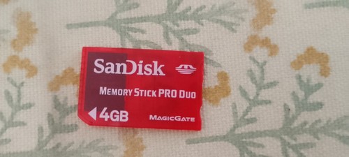 4gb sandisk magicgate - sandisk,