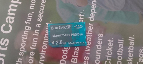 Sandisk memory stick pro - memory,