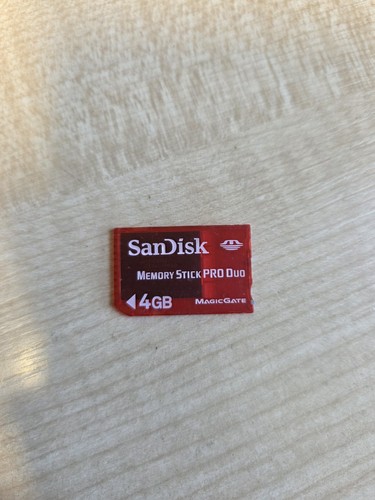 4gb sandisk memory - 4gb,