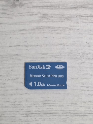 0gb sandisk memory - 1.0gb,