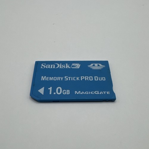 Sandisk sony memory - sony, pro