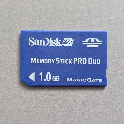 0gb sandisk memory - sandisk, pro