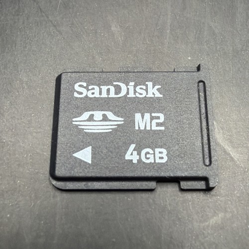 Sandisk 4gb memory - 4gb, micro