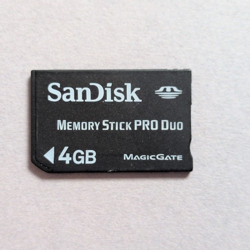 4gb sandisk memory - memory, pro